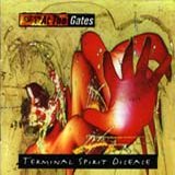 Terminal Spirit Disease