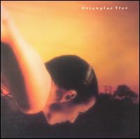 On the Sunday of Life - Porcupine Tree Songs, Reviews