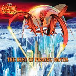Best Of Praying Mantis