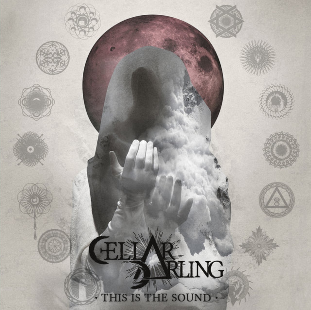 cellar album