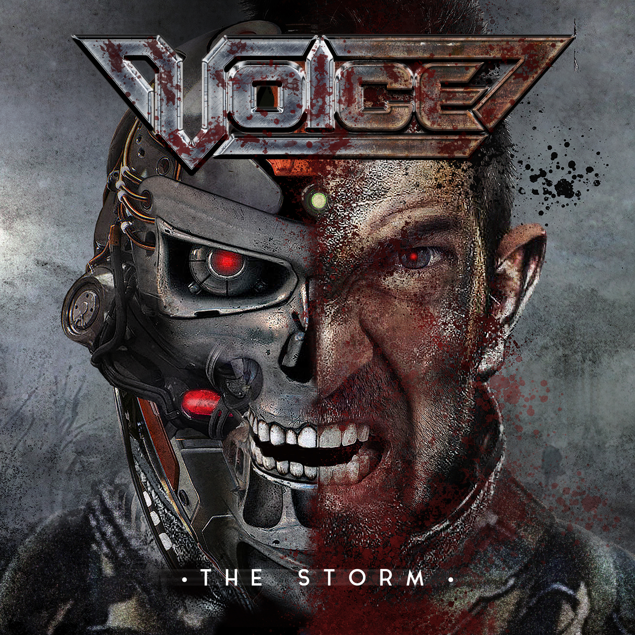 Voice TheStorm Cover MASCD0998