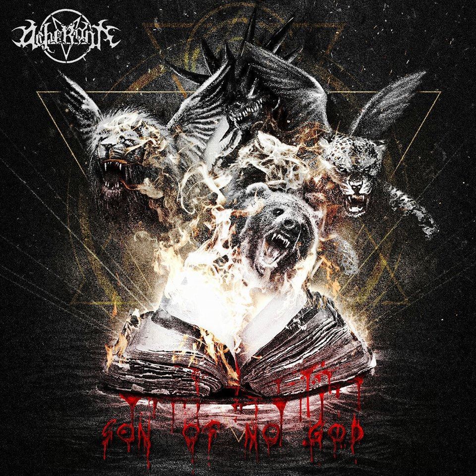 2f5290c34c27ed3385401f4fee5762013