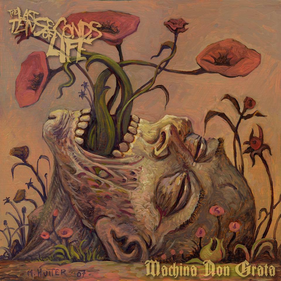 47326396 2486365241390676 6315634746026098688 n