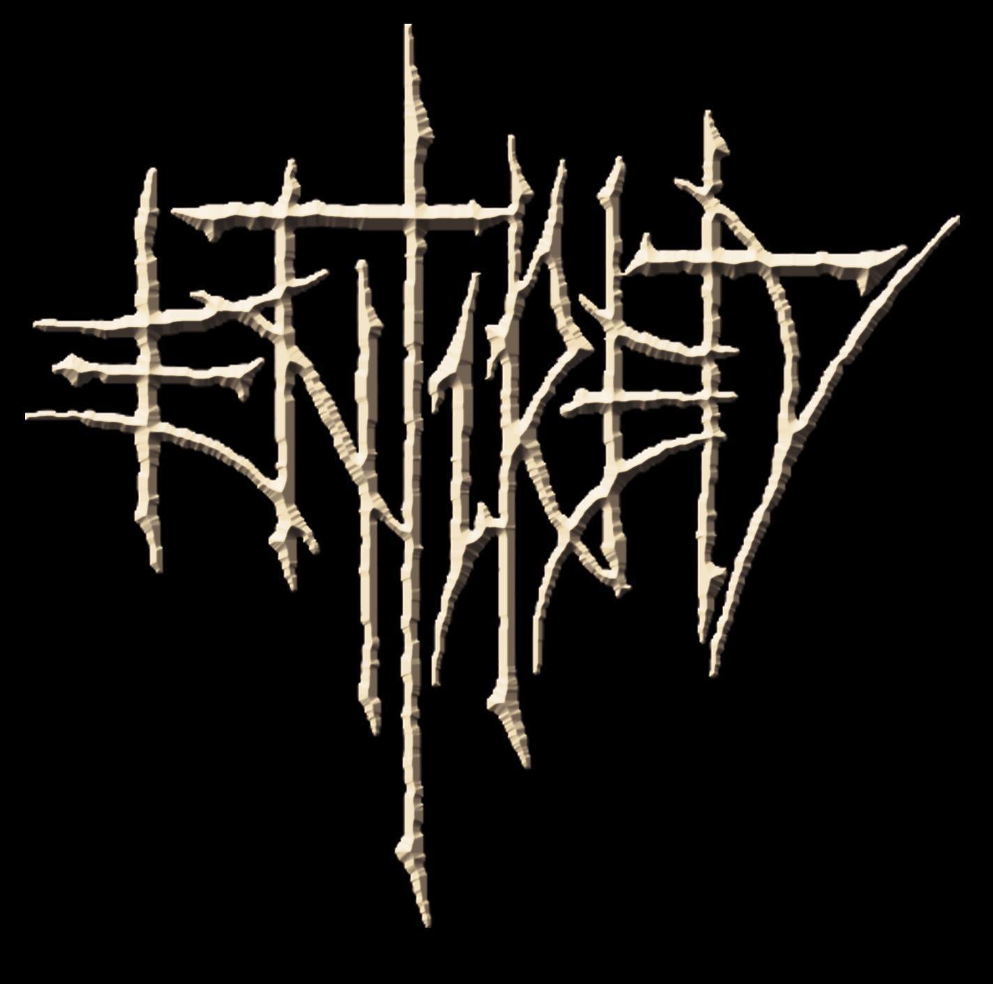 Entirety logo