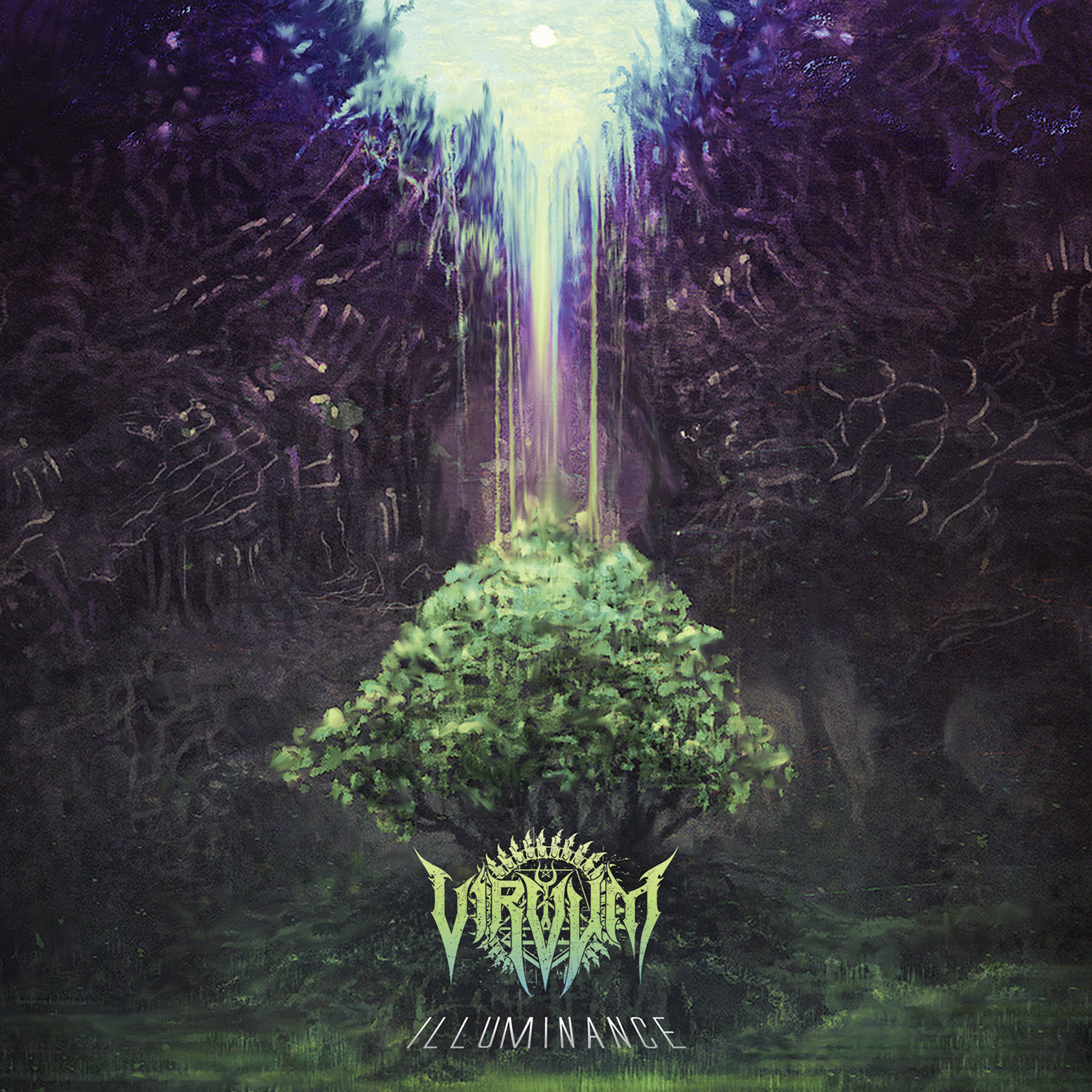 illum