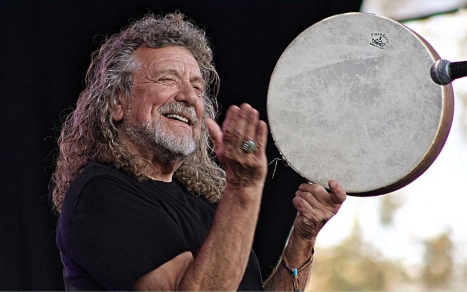 Robert Plant 2019