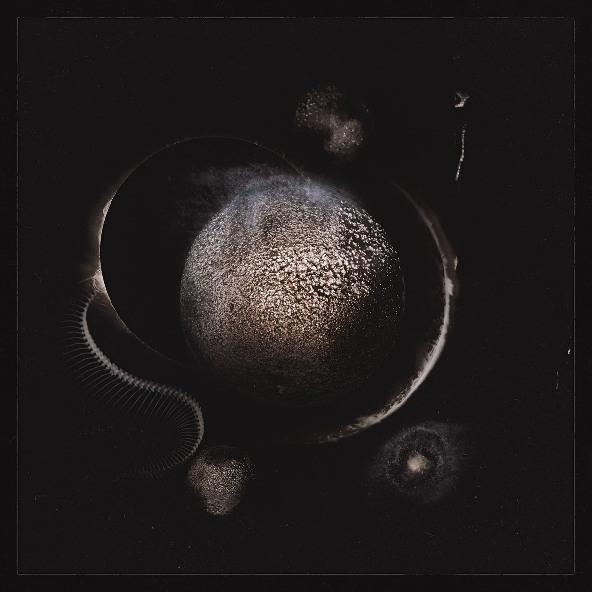 a2696886706 10