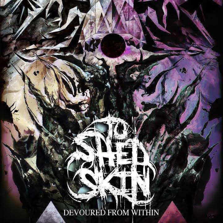 to shed copertina