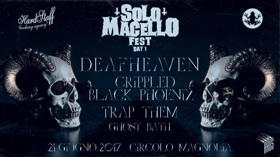 solomacell day1