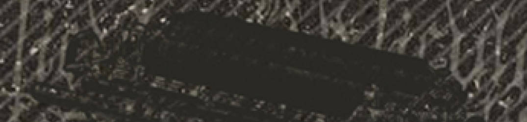 In Articulo Mortis: pubblicato in streaming il loro ultimo album