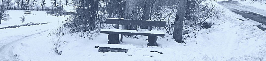 Pure: in streaming una song dal nuovo album “J’aurais dû”