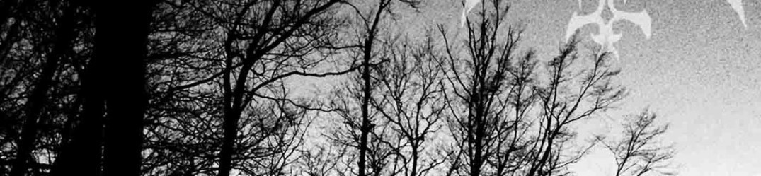 Daemonian: prima song da “Endless Corridor”
