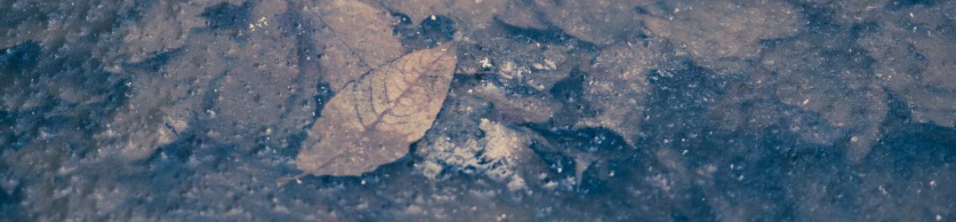 Kres: ascolta in full-streaming “40 nocy grudnia”