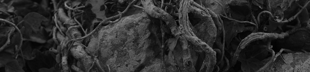 Seelenfrost: “Des Mondes Staub” in streaming completo