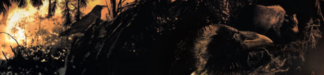 Harvestman: “Music For Megaliths” in streaming completo