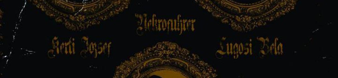 Wolfsgrey: la copertina del prossimo disco