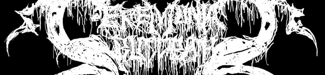 Ceremonial Bloodbath: in full streaming il nuovo demo “Command Sacrifice”