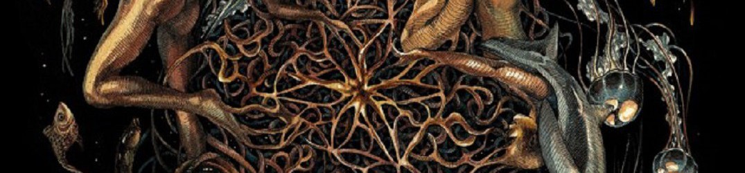 Selcouth: in streaming dal nuovo album “Heart is the Star of Chaos”, ‘Below Hope’