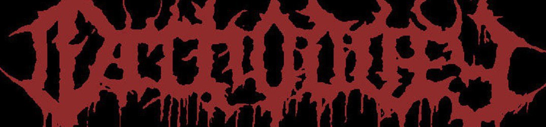 Orthodoxy: al lavoro sul debut album