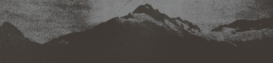 Bison: nuovo brano da  “You Are Not the Ocean You Are the Patient”