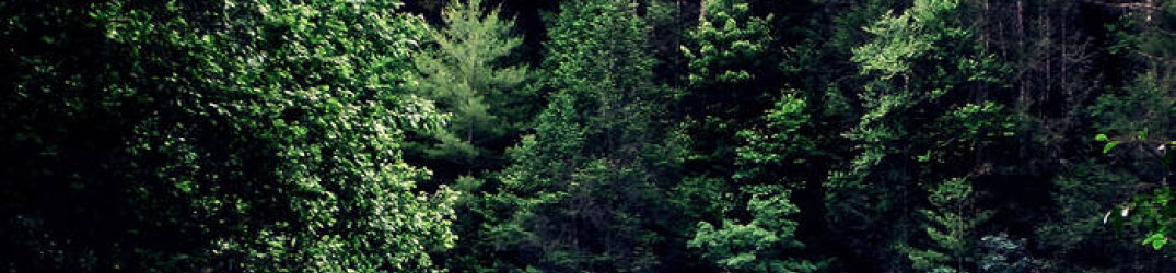 Armorer: l’ultimo EP “Cerulean” in full streaming