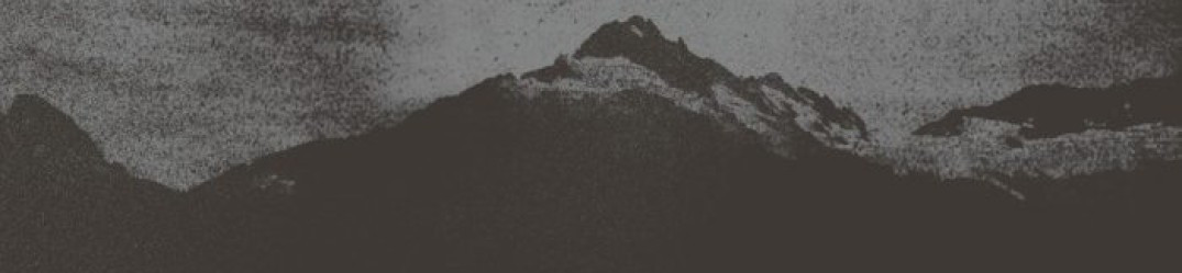 Bison: “You Are Not the Ocean You Are the Patient” in full streaming