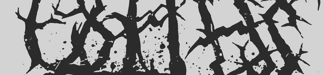Useless: online un frammento di ‘Constellation of Woe’