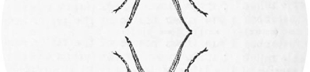 Jute Gyte: ascolta “Oviri” in streaming completo