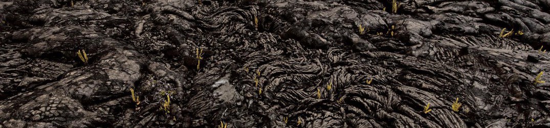 Ecferus: ascolta in full-streaming il nuovo EP
