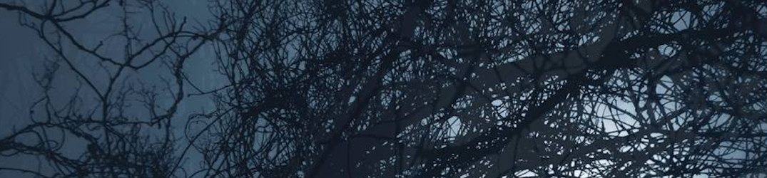 Lost Moon: presentano il loro nuovo singolo