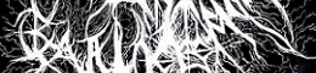 Saint Barthelemy’s Temple: ascolta la nuova track ‘The Sword of the Victor’