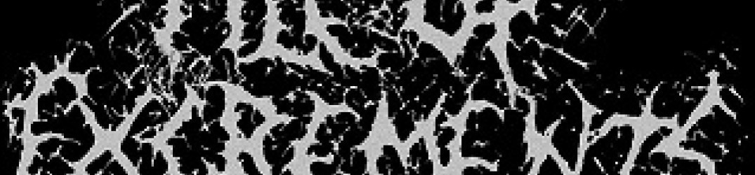 Pile of Excrements: nuovo contratto discografico