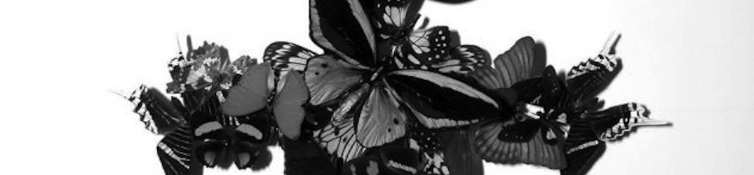Monarch!: online il singolo ‘Of Night, With Knives’