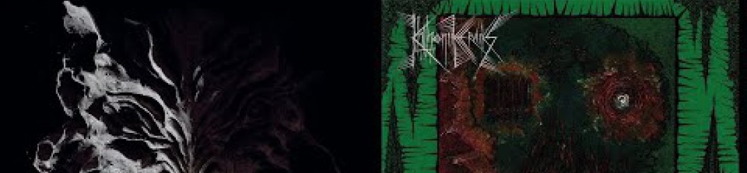 Howls Of Ebb: ascolta lo split “With Gangrene Edges / Voiidwarp” in full streaming