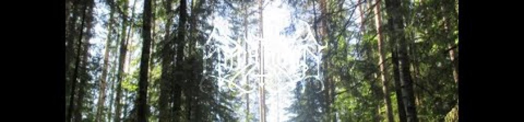 Epäihminen: l’ultimo EP “Opus 0” in full streaming