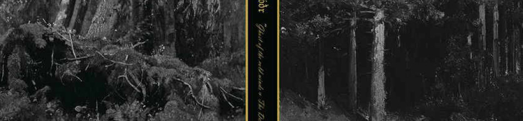 Hermóðr: ascolta in full streaming “Ghost of the Cold Winds / The Deep End”