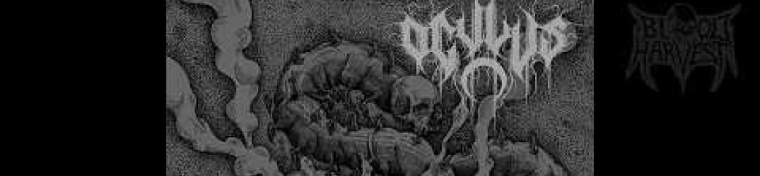 Oculus: in full streaming “The Apostate of Light”