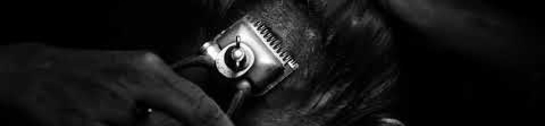 Throane: online il nuovo brano ‘Plus Une Main a Mordre’