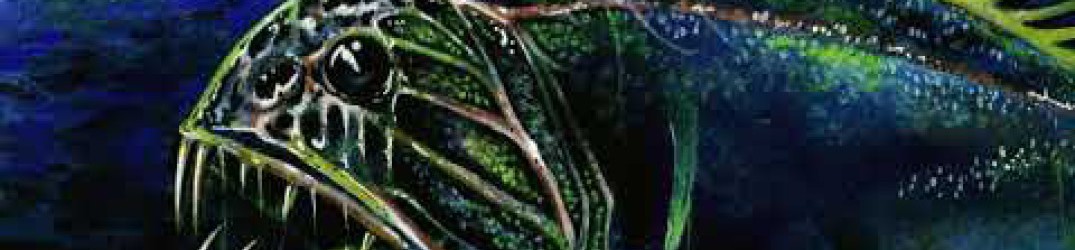 Cryostasium: ascolta la nuova song ‘Starbound’