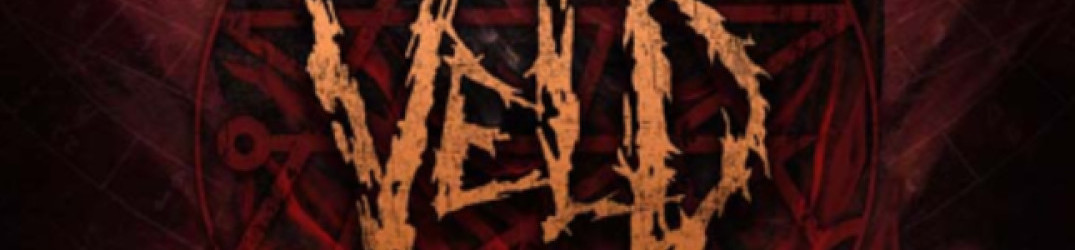 Veld: importanti ospiti sul prossimo disco