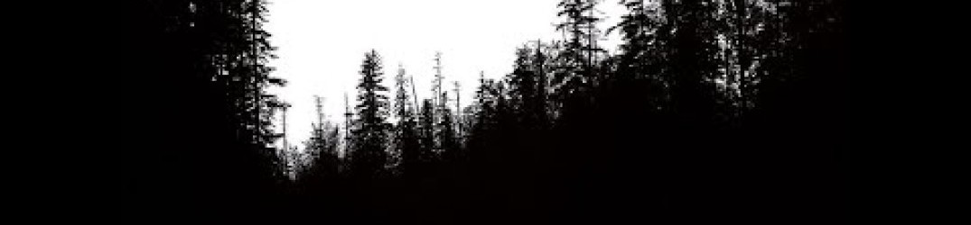 Svart Runar: online in full streaming “The North”