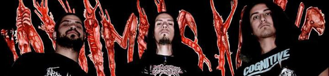 Animals Killing People: guarda il video live dall’Obscene Extreme 2017