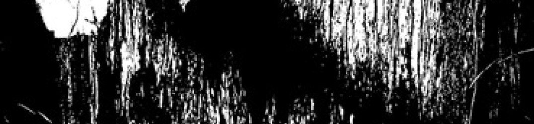Nekrasov: in streaming completo “The Mirror Void”