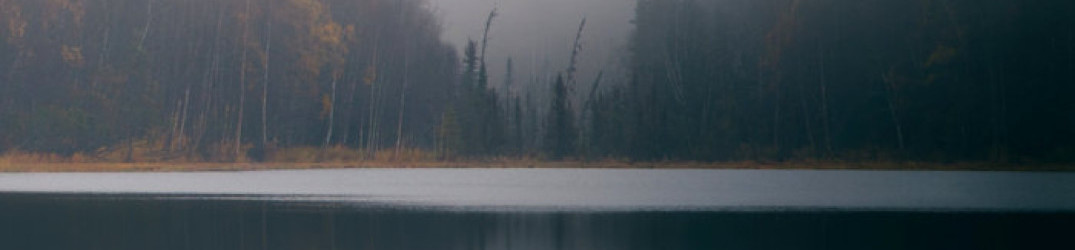 Howling North: “Immersion” in streaming completo