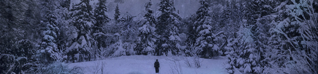Nordlumo: in full streaming “Embraced by Eternal Night”