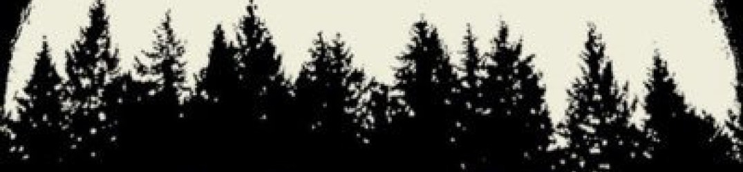 Neck Of The Woods: online il guitar playthrough di ‘Nailbiter’