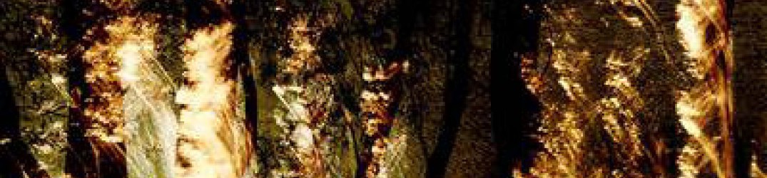 The Howling Void: in full streaming “The Darkness at the Edge of Dawn”