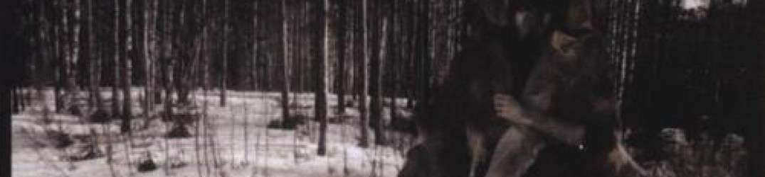 Häive: tutto in streaming il nuovo album “Iätön”