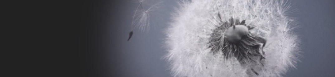 Somnent: pubblicata la nuova song ‘Sojourn’