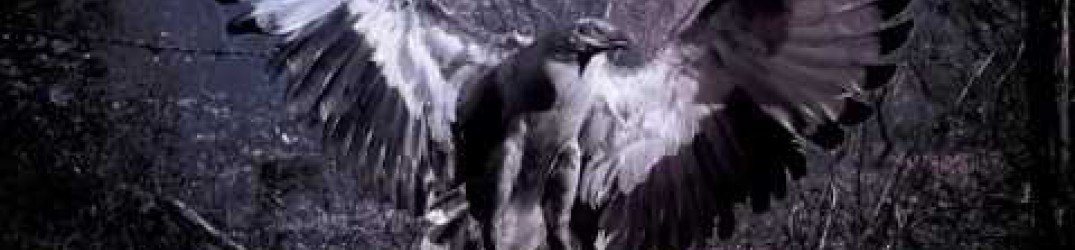 Manipulation: online in streaming la reissue del brano ‘Dispensing of Existence’